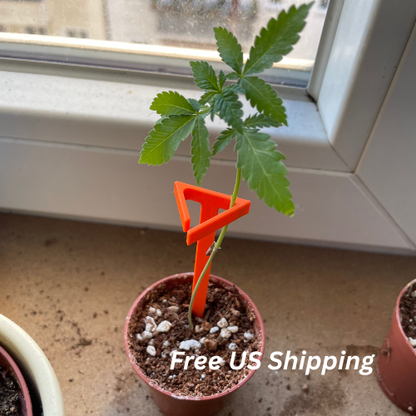 8 Stk. Steckling Halter